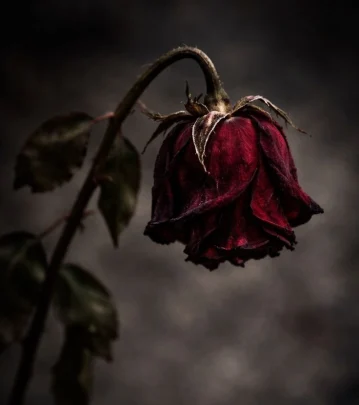 Part of Death در آسترولوژی، مرگی برای ادامه زیستن