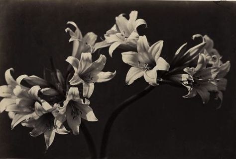 تحلیل آسترولوژی هفته-۱۲ الی ۱۹ آذر